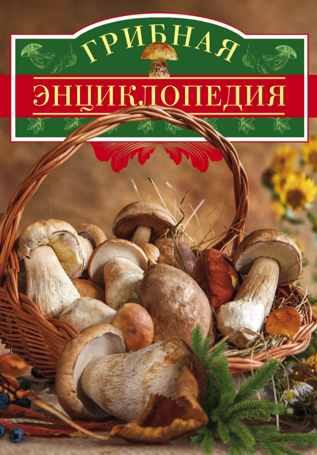 Обложка книги «Грибная энциклопедия»