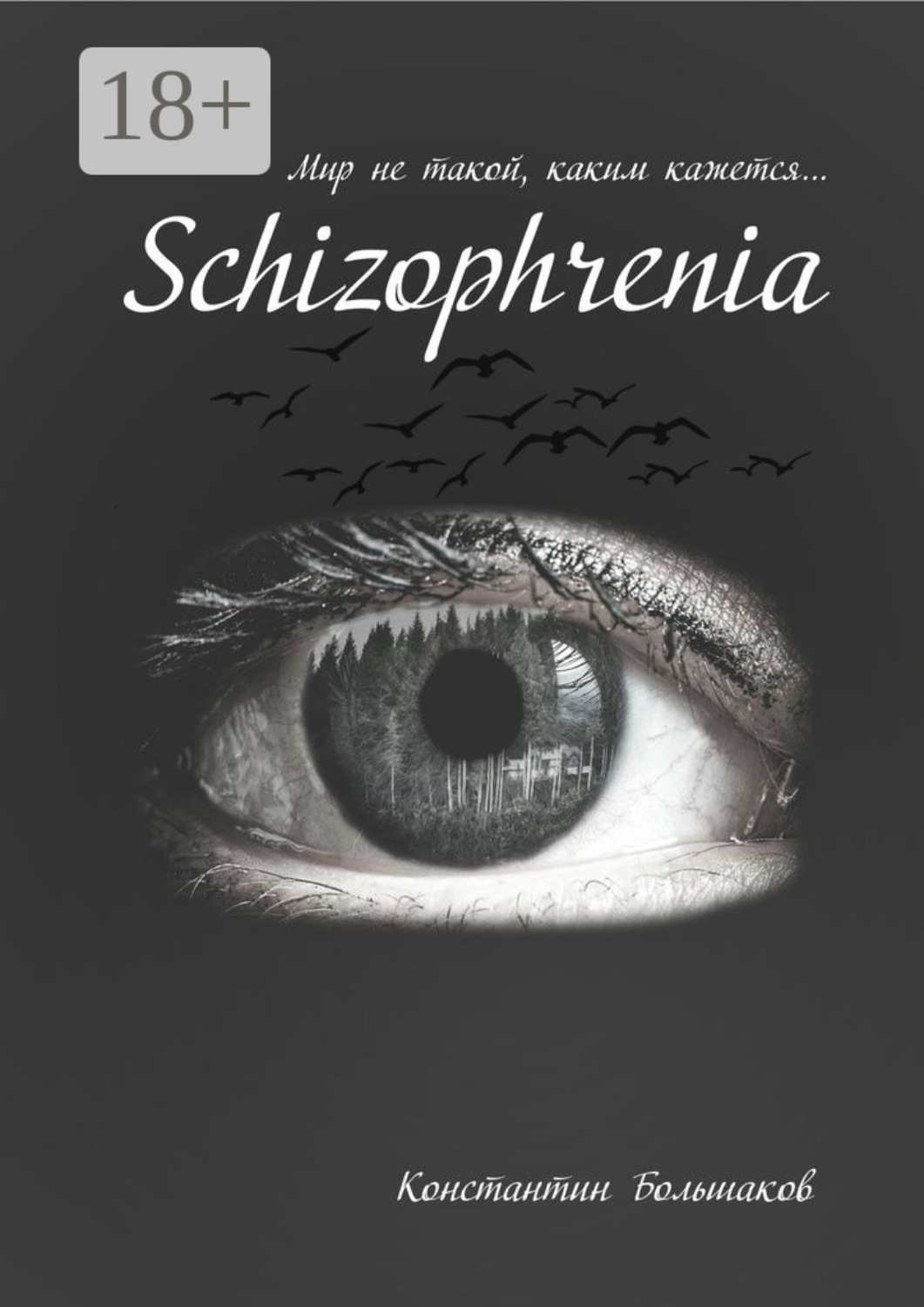 Обложка книги «Schizophrenia. Мир не такой, каким кажется»
