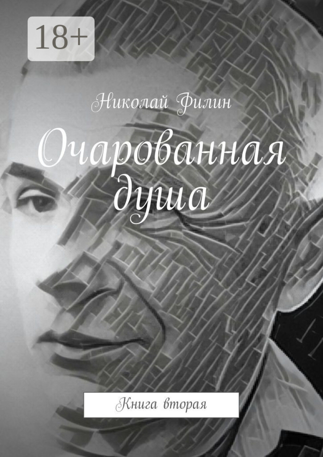 Обложка книги «Очарованная душа. Книга вторая»