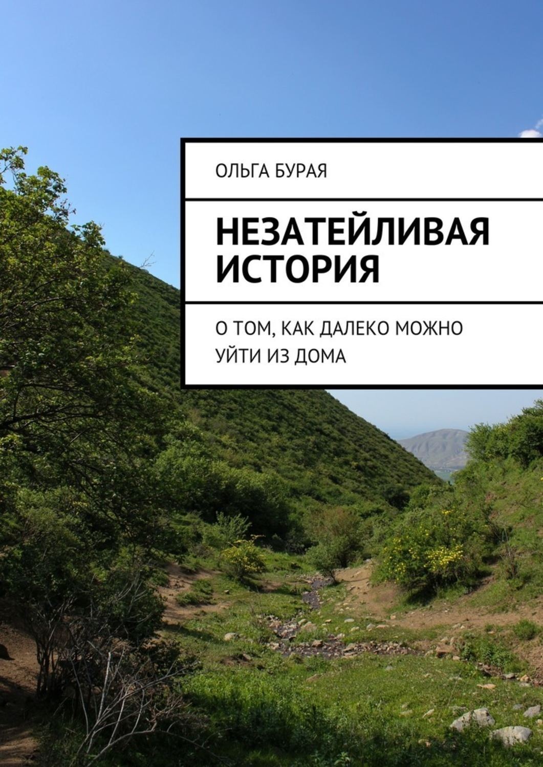 Обложка книги «Незатейливая история. О том, как далеко можно уйти из дома»