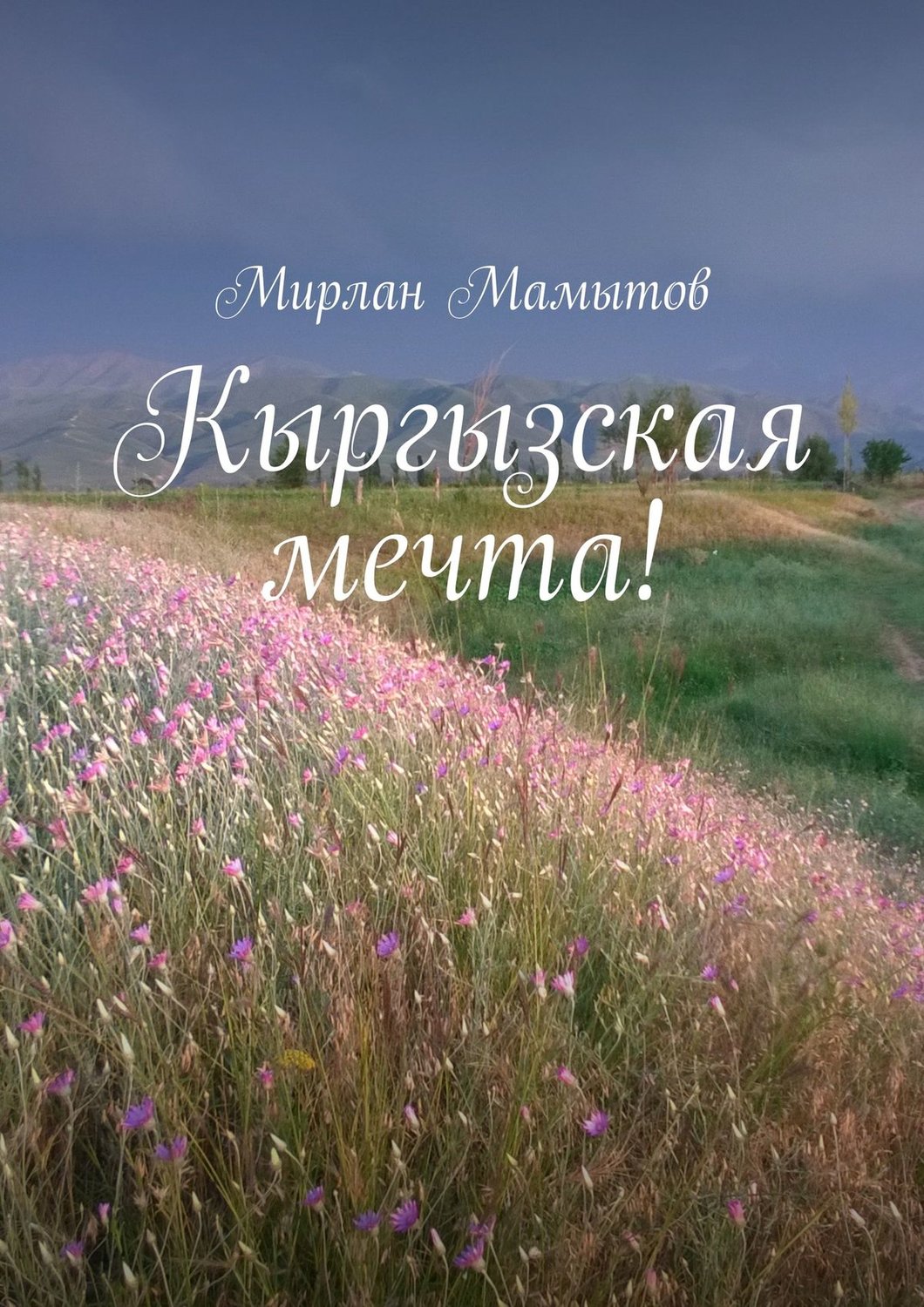 Обложка книги «Кыргызская мечта!»