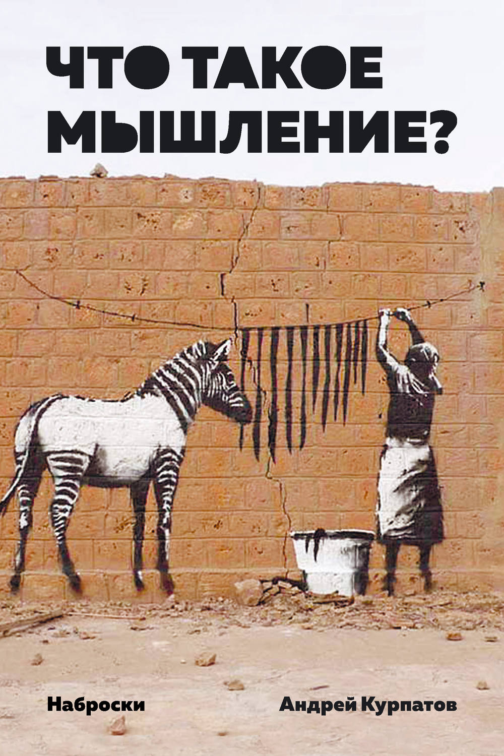 Обложка книги «Что такое мышление? Наброски»