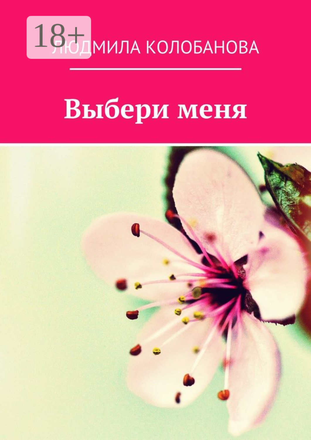 Обложка книги «Выбери меня»