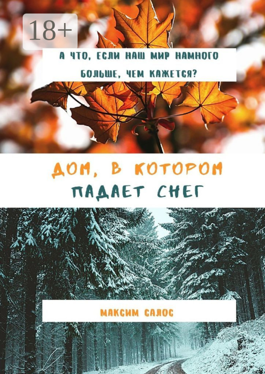 Обложка книги «Дом, в котором падает снег»