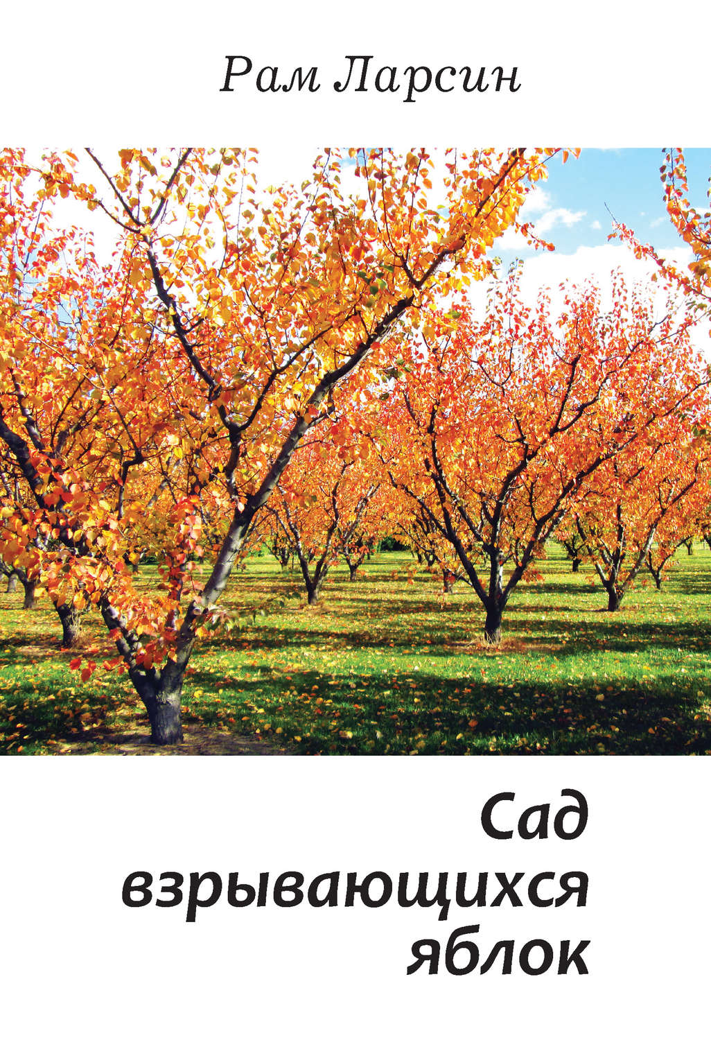 Обложка книги «Сад взрывающихся яблок (сборник)»