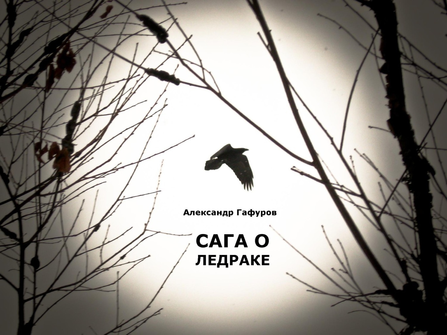 Обложка книги «Сага о Ледраке»