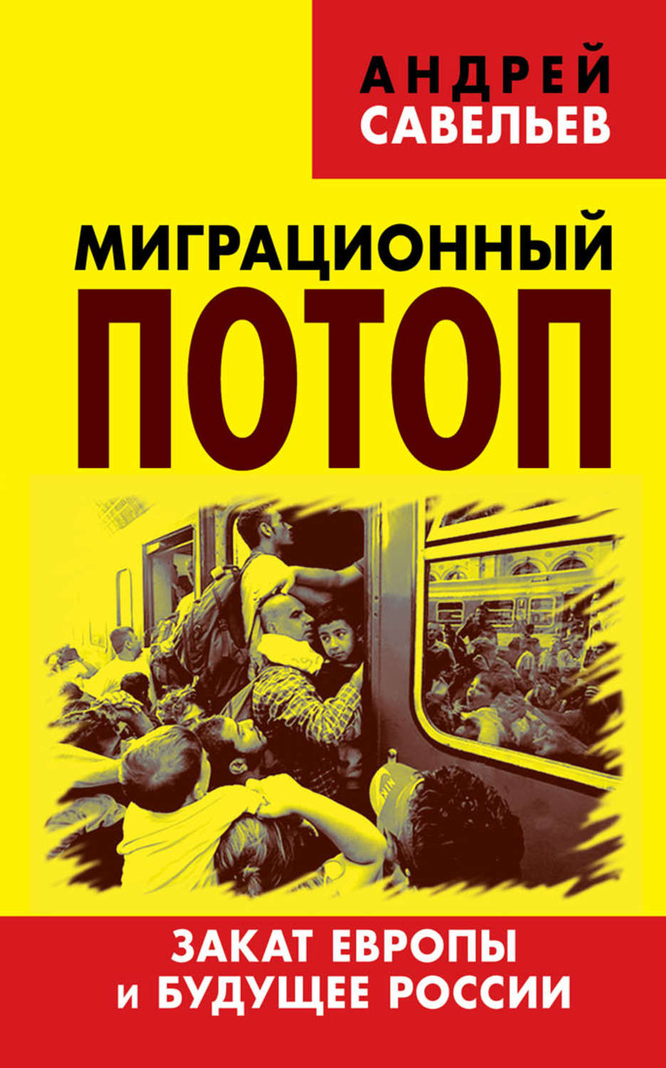 Обложка книги «Миграционный потоп. Закат Европы и будущее России»