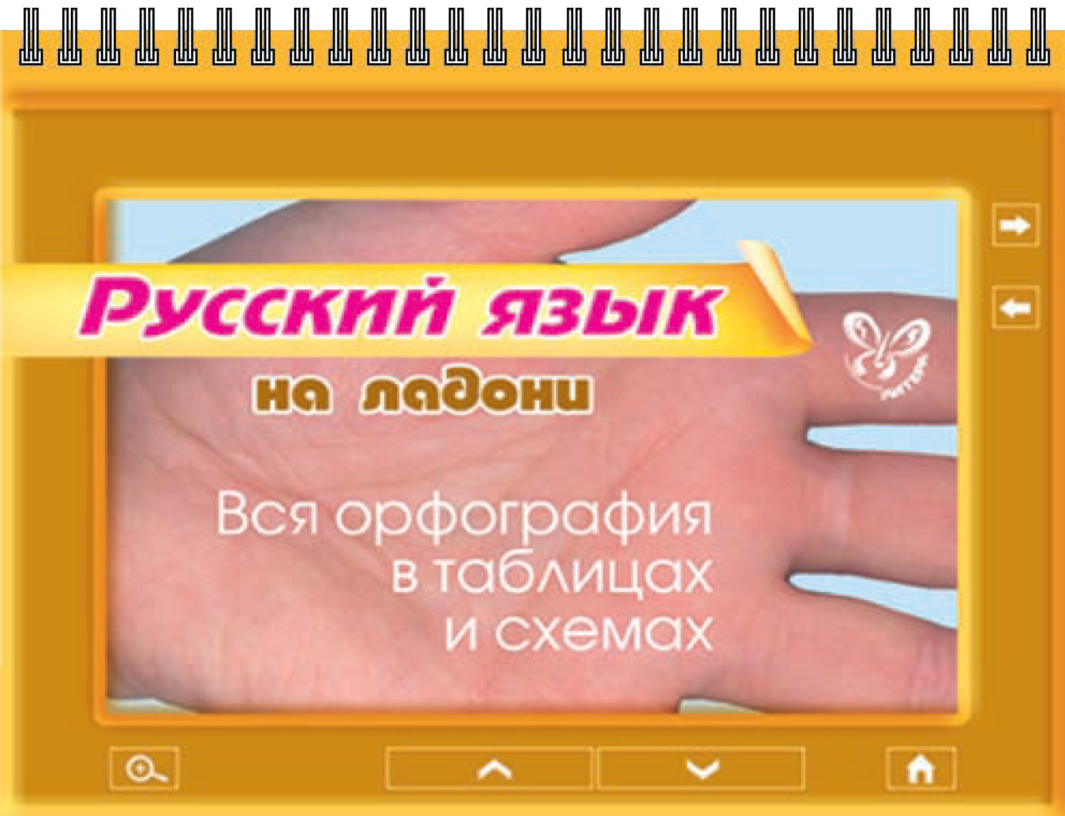 Обложка книги «Русский язык. Вся орфография в таблицах и схемах»
