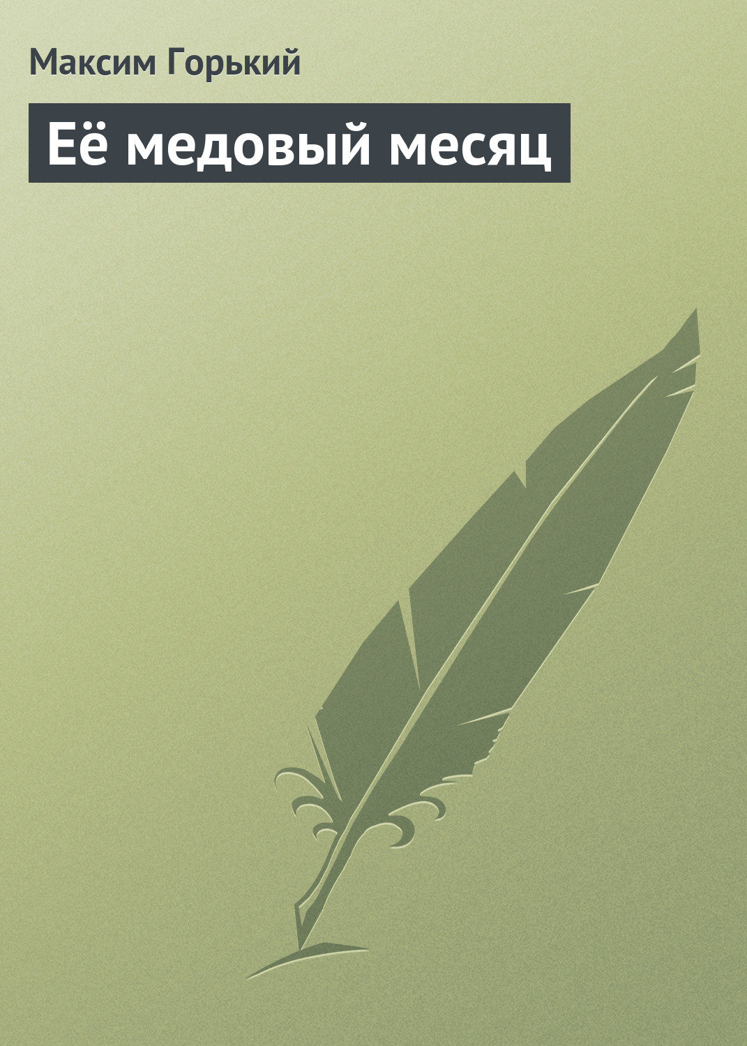 Обложка книги «Её медовый месяц»