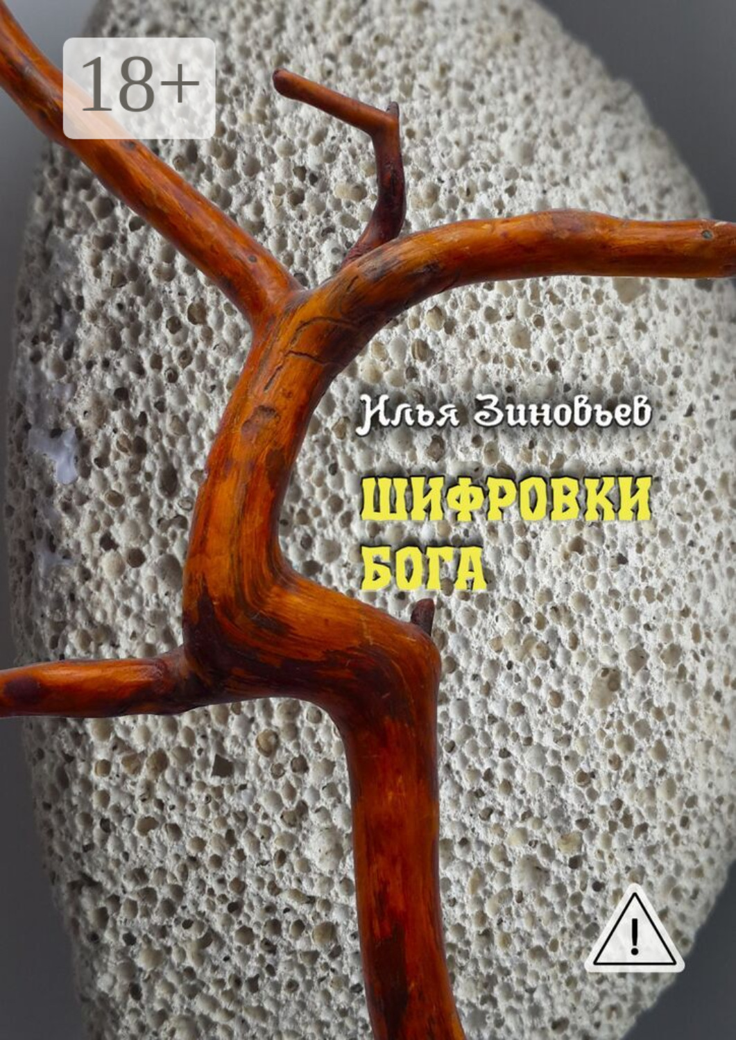 Обложка книги «ШИФРОВКИ БОГА»