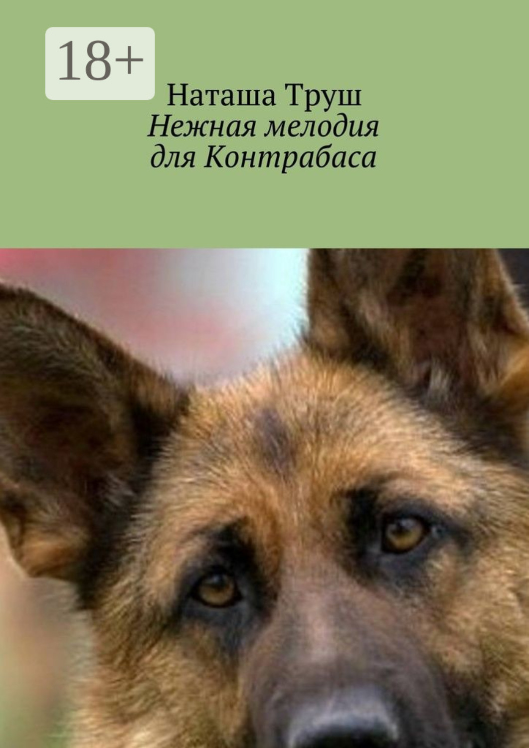 Обложка книги «Нежная мелодия для Контрабаса»