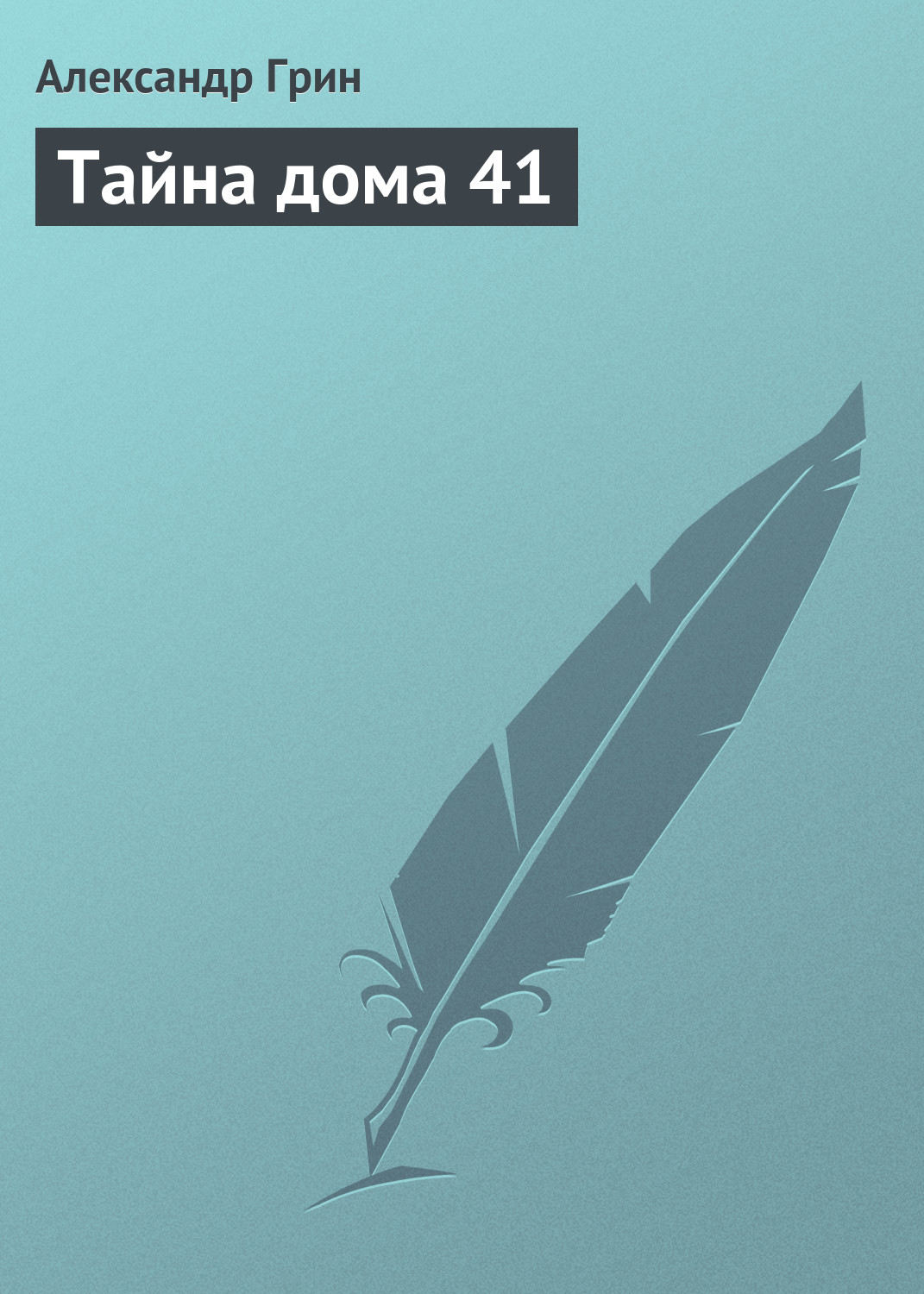 Обложка книги «Тайна дома 41»
