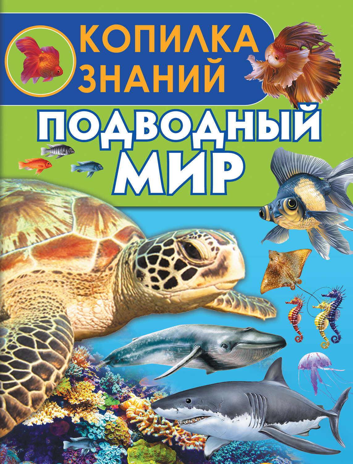Обложка книги «Подводный мир»
