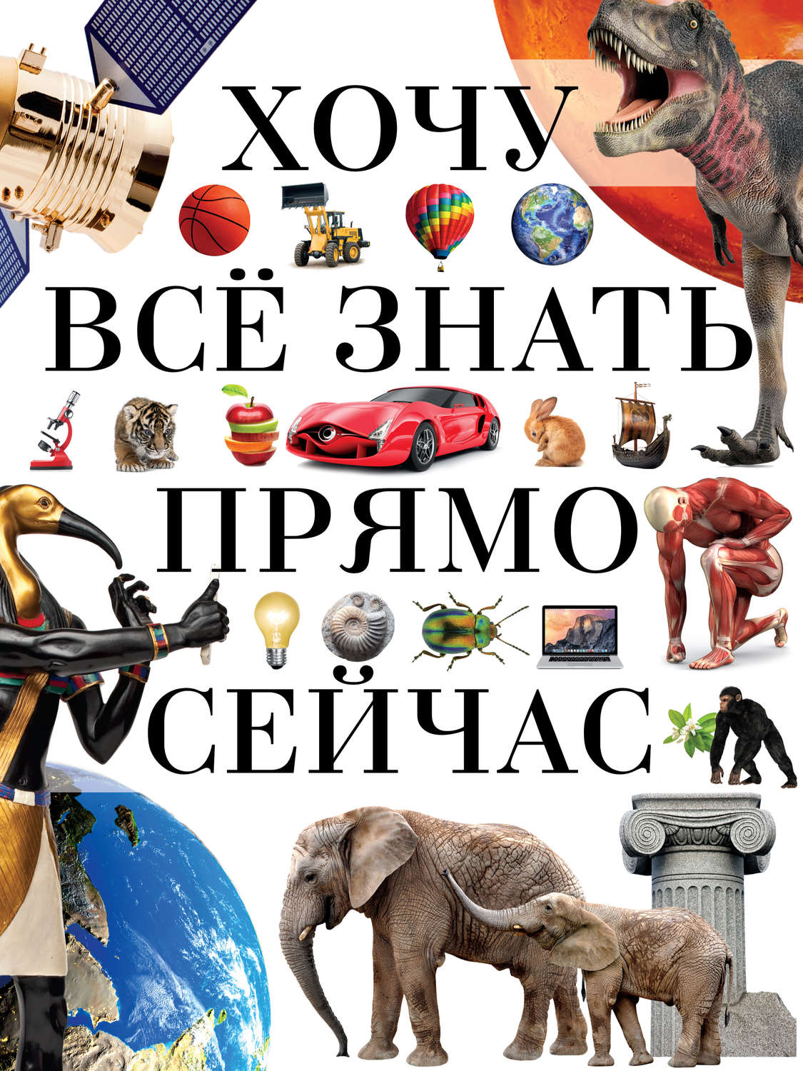 Обложка книги «Хочу всё знать прямо сейчас»
