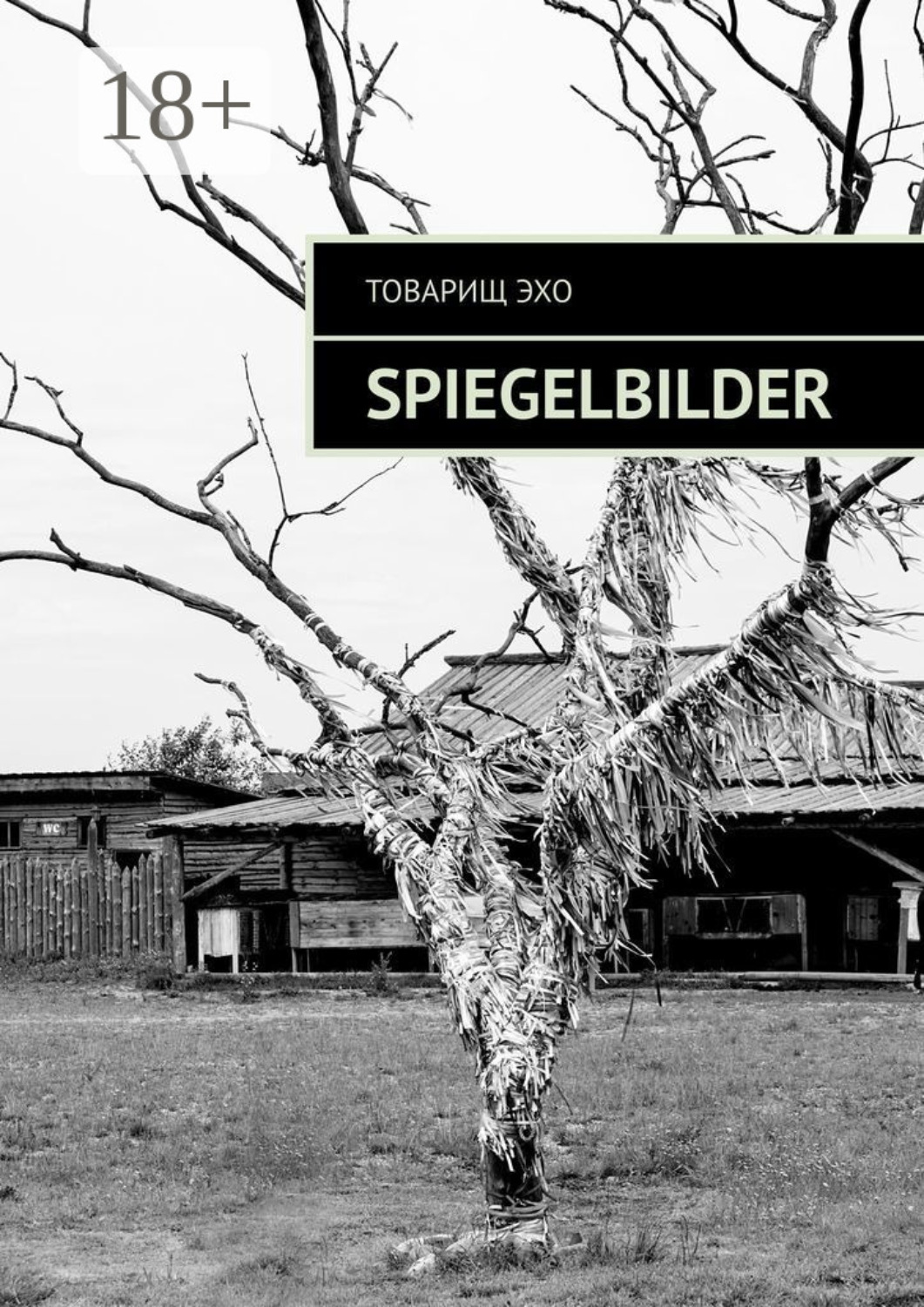 Обложка книги «Spiegelbilder»