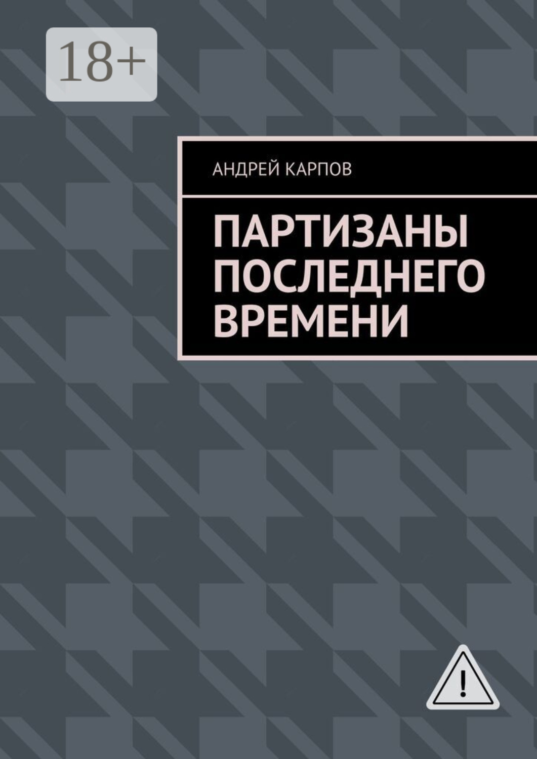 Обложка книги «Партизаны последнего времени»