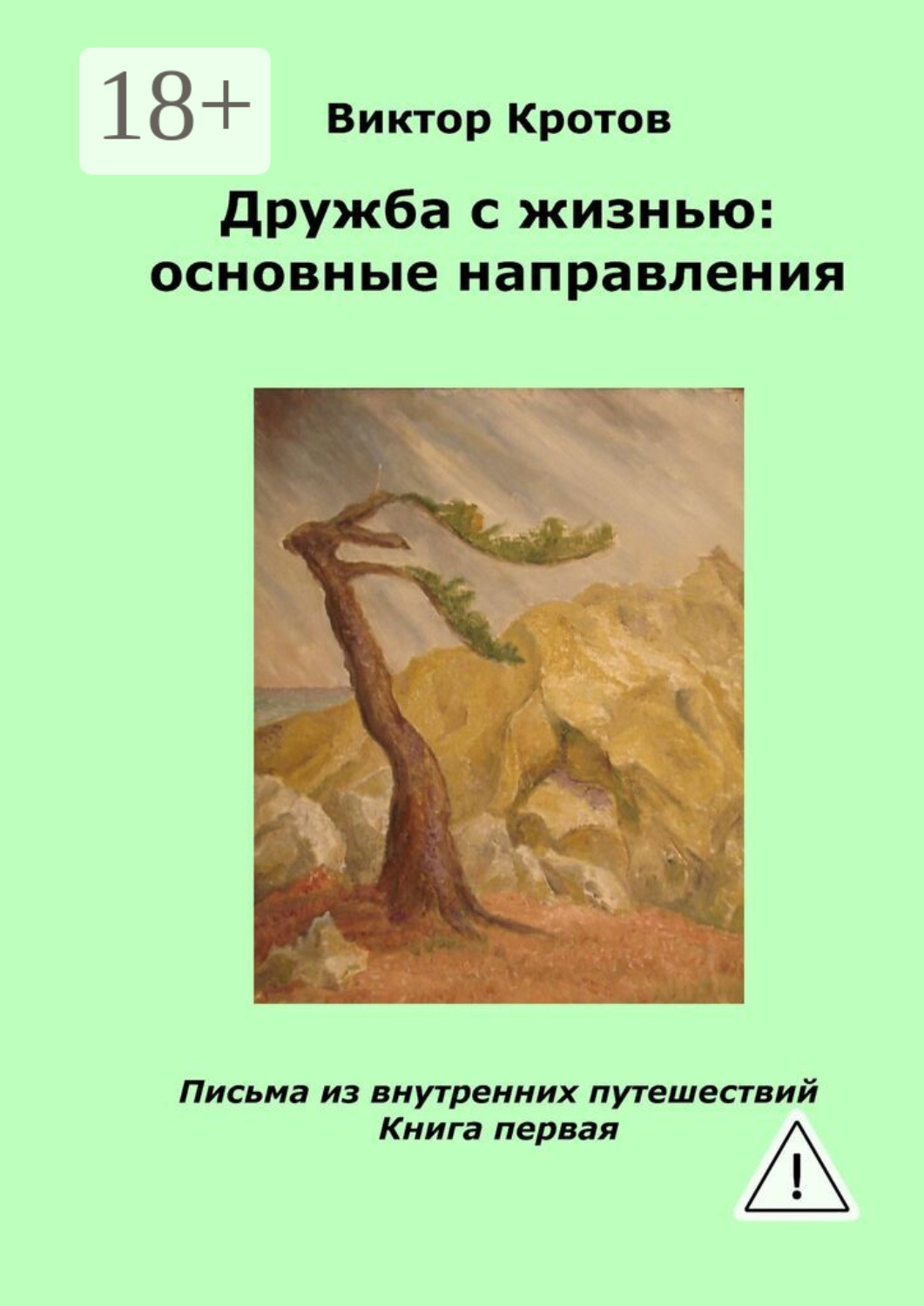 Обложка книги «Дружба с жизнью: основные направления. Письма из внутренних путешествий. Книга первая»