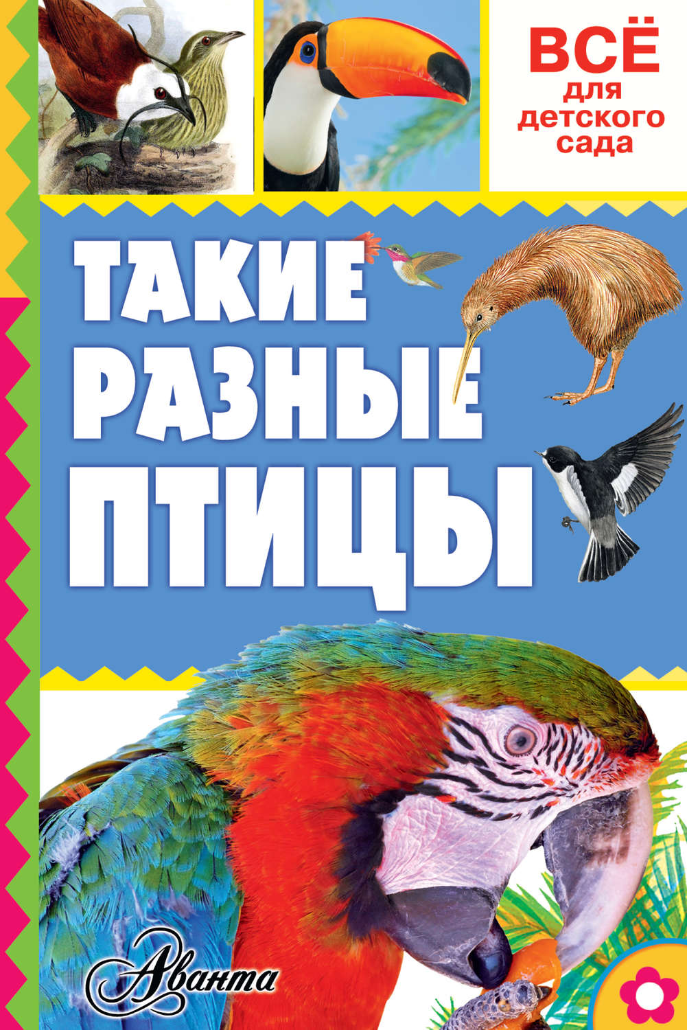Обложка книги «Такие разные птицы»