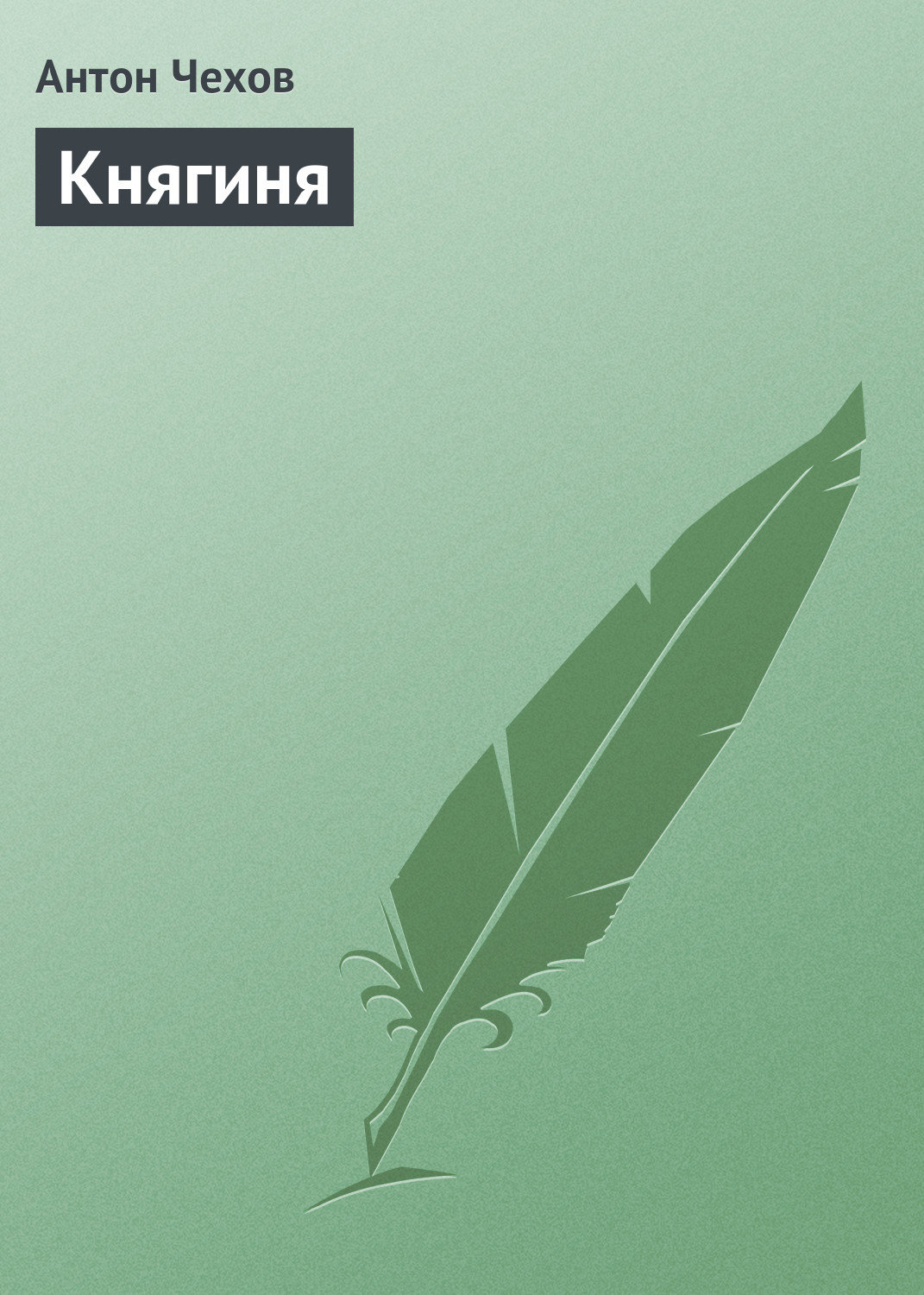Обложка книги «Княгиня»