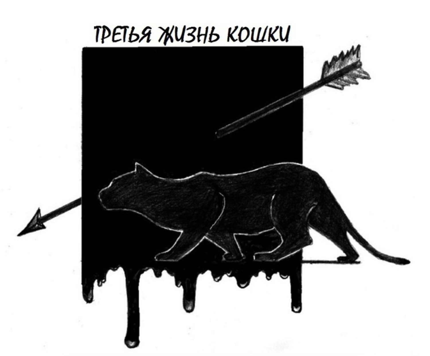 Обложка книги «Третья жизнь кошки»