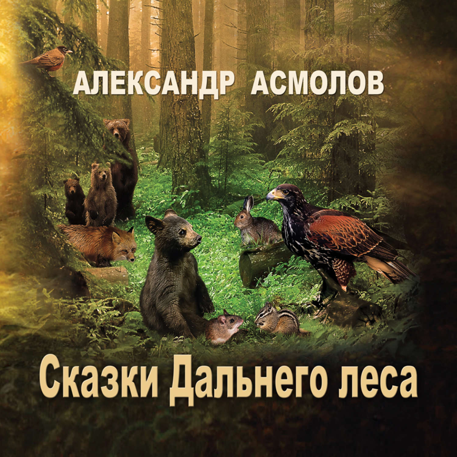 Обложка книги «Сказки Дальнего леса»