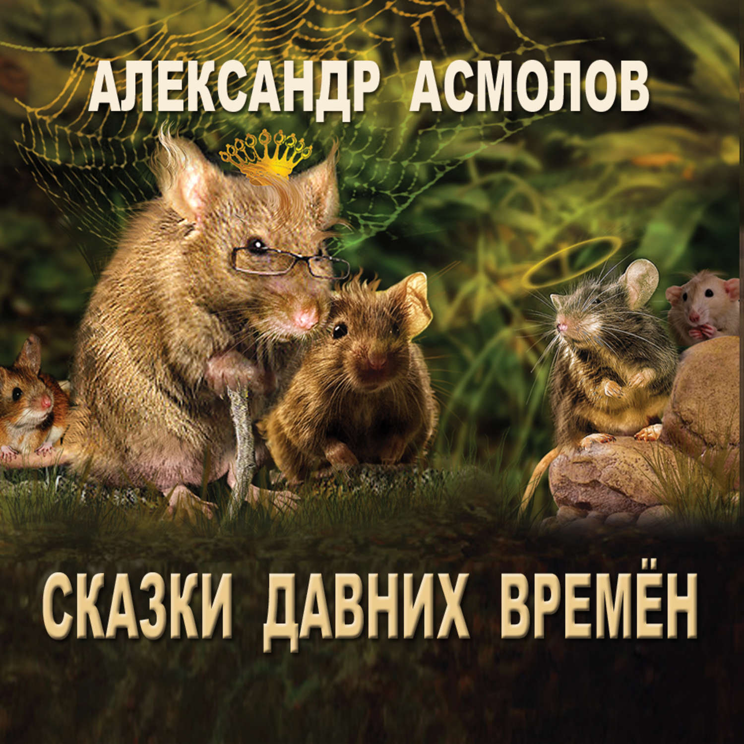 Обложка книги «Сказки Давних времен»