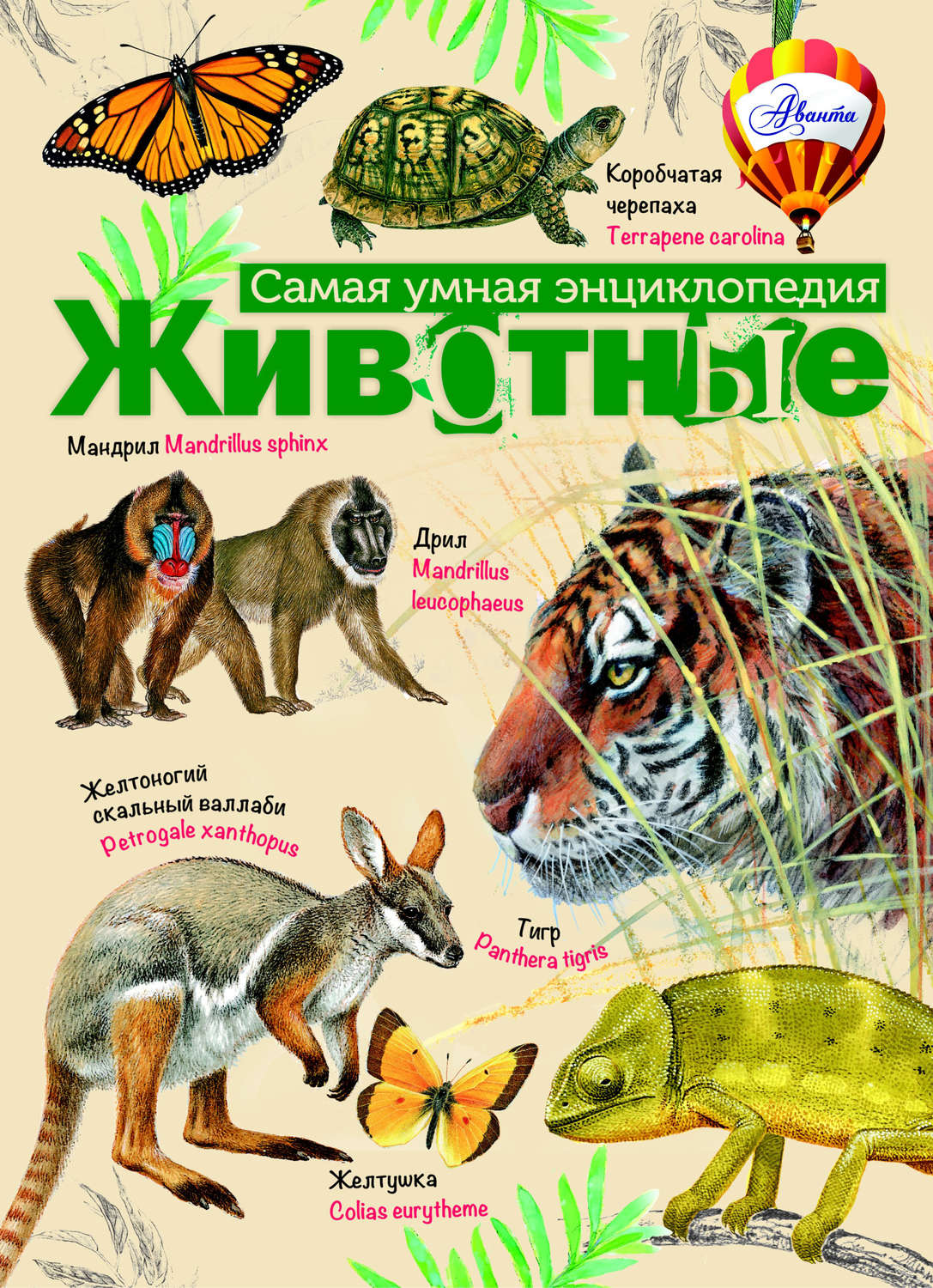 Обложка книги «Животные»