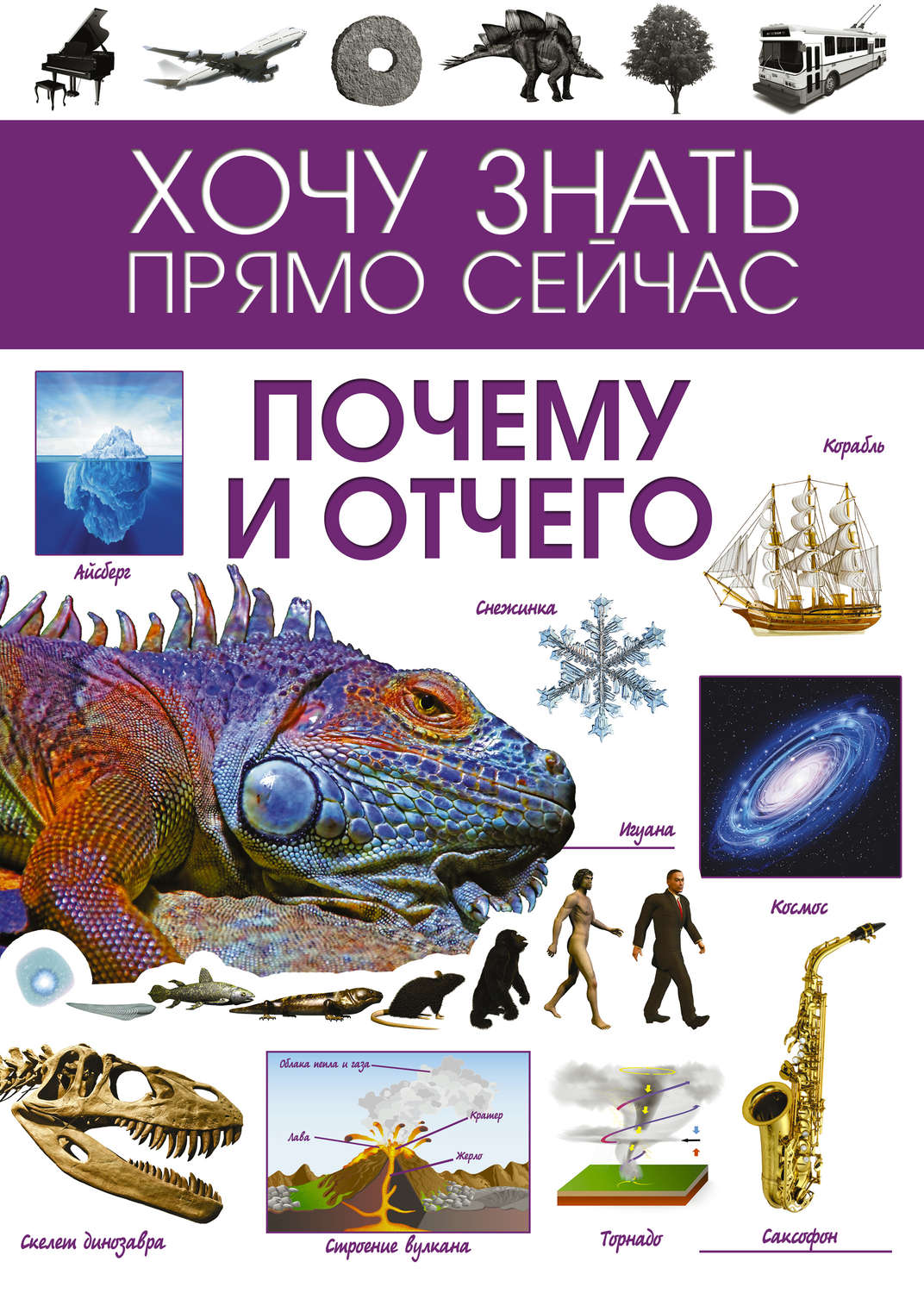 Обложка книги «Почему и отчего»