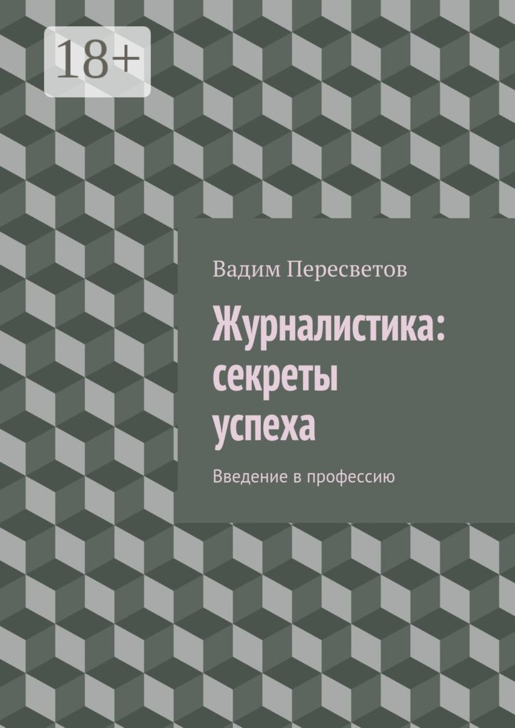 Обложка книги «Журналистика: секреты успеха. Введение в профессию»