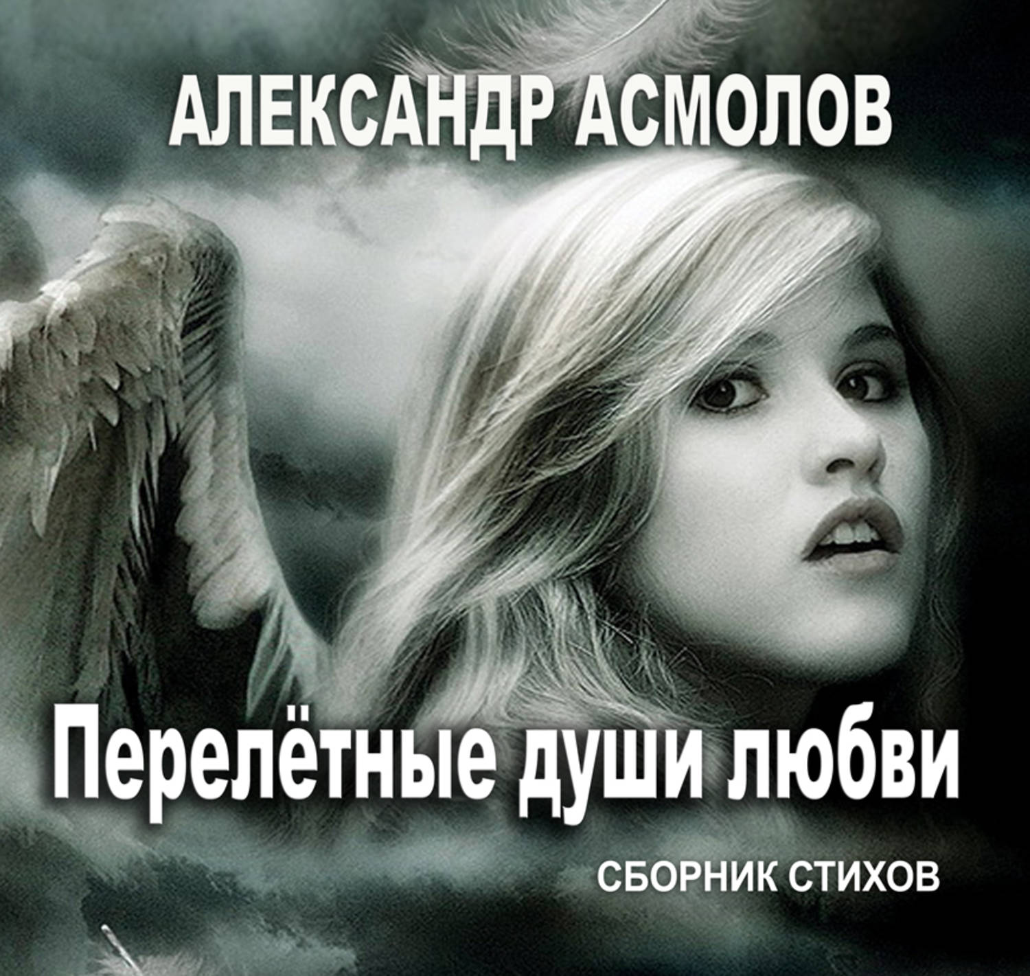 Обложка книги «Перелетные души любви (сборник)»