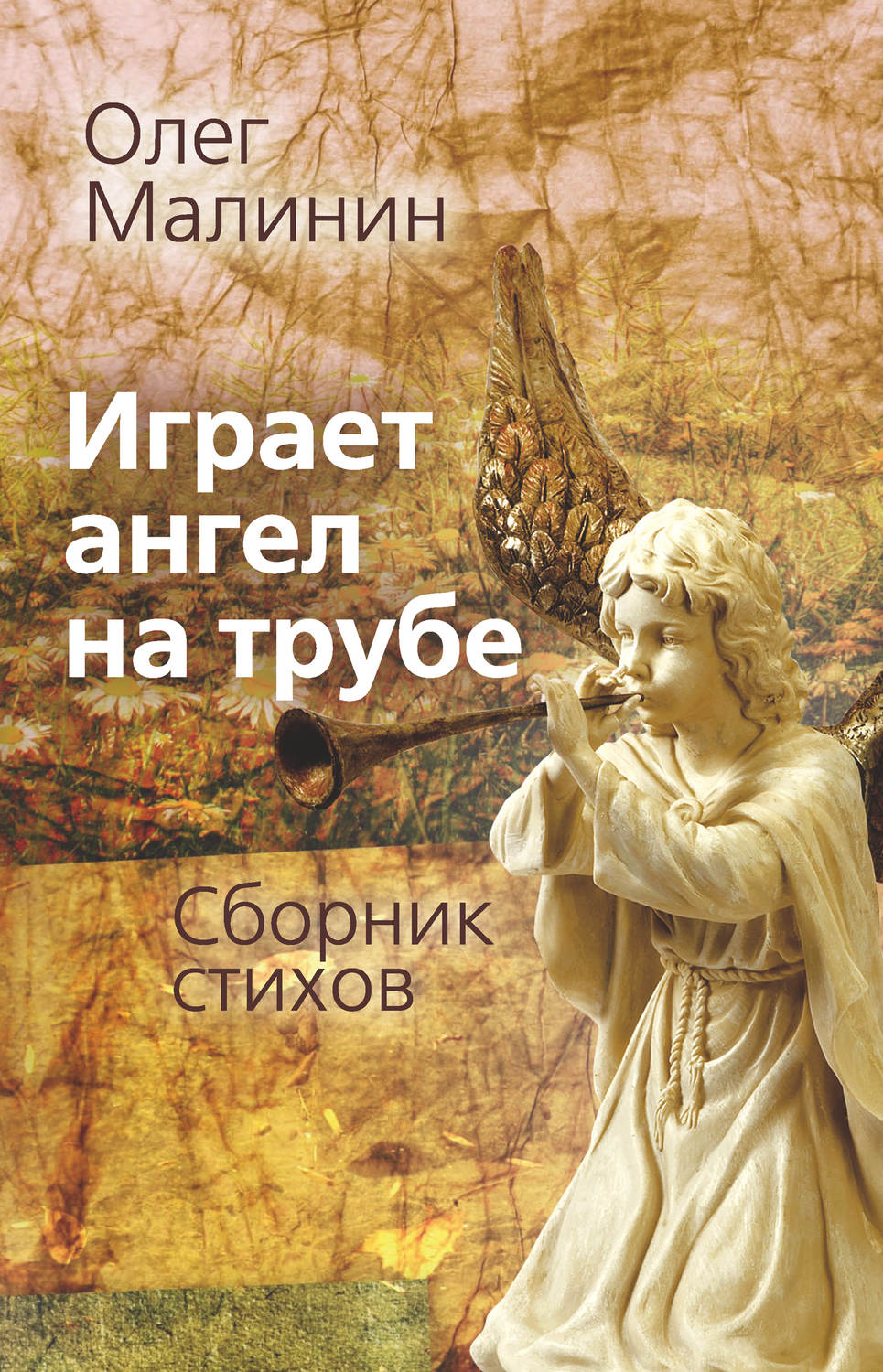 Обложка книги «Играет ангел на трубе. Сборник стихов»