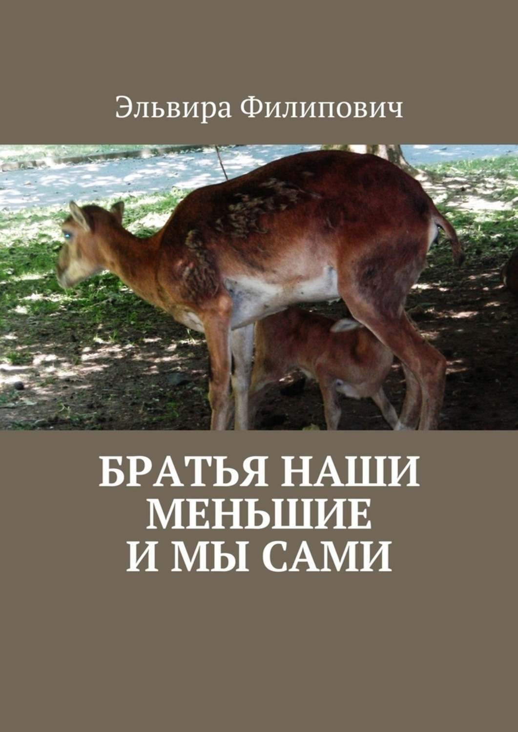 Обложка книги «Братья наши меньшие и мы сами»