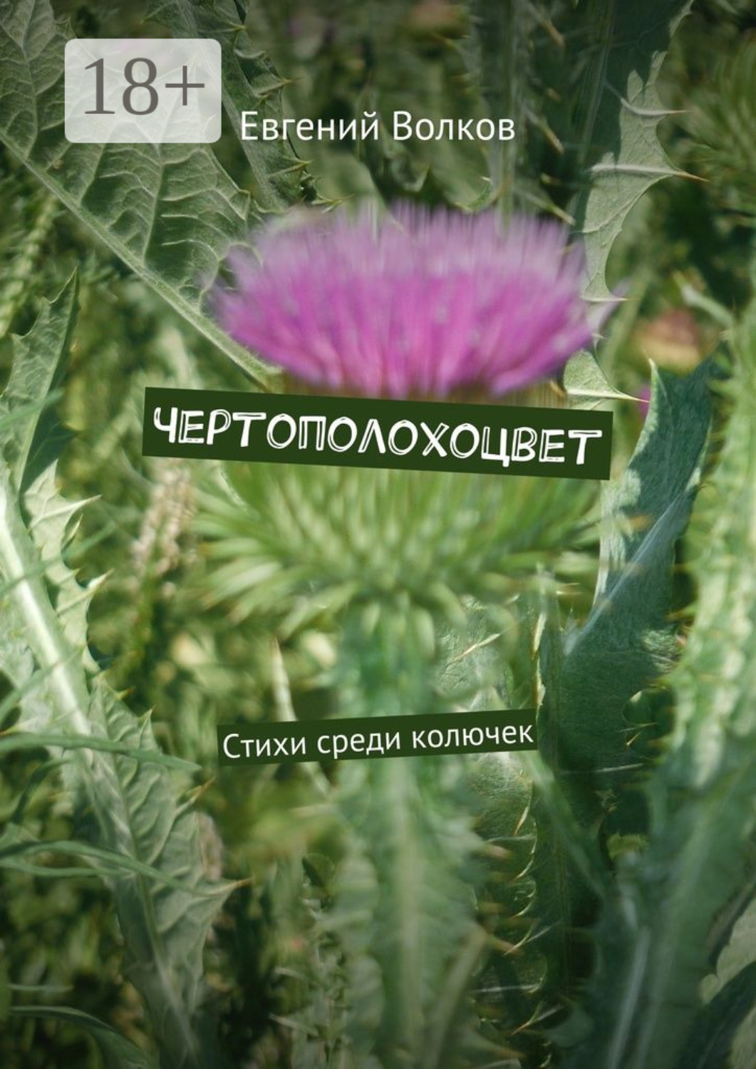 Обложка книги «Чертополохоцвет. Стихи среди колючек»