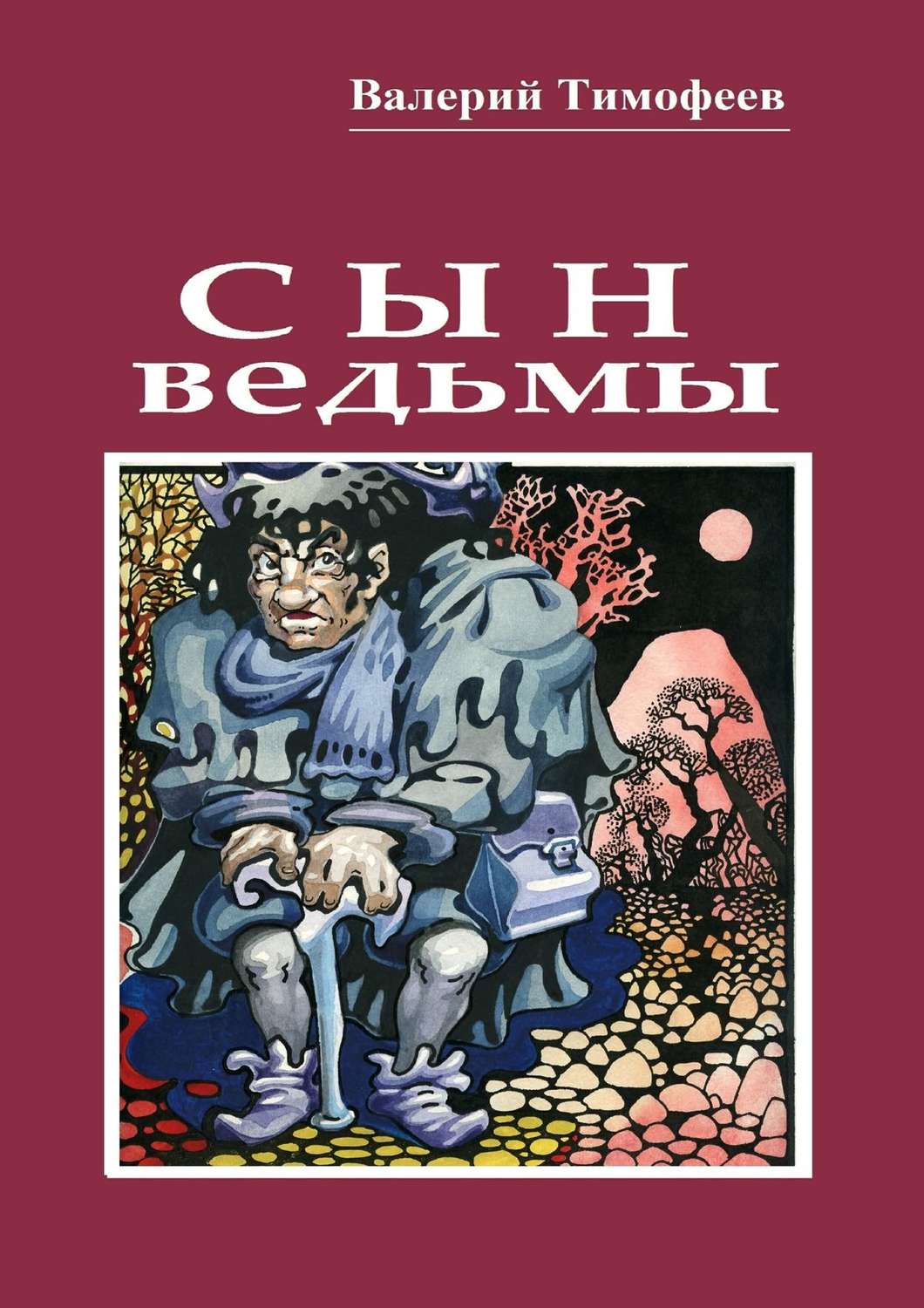 Обложка книги «Сын ведьмы. Волшебная сказка»