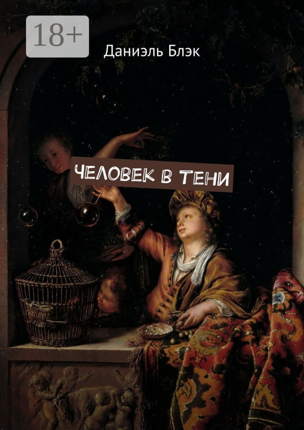 Обложка книги «Человек в тени»
