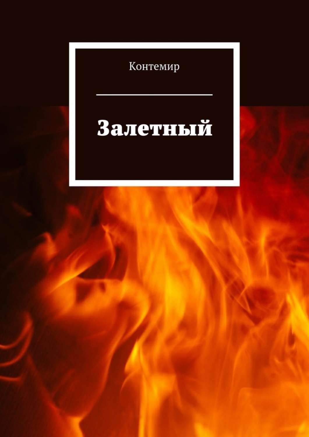 Обложка книги «Залетный»