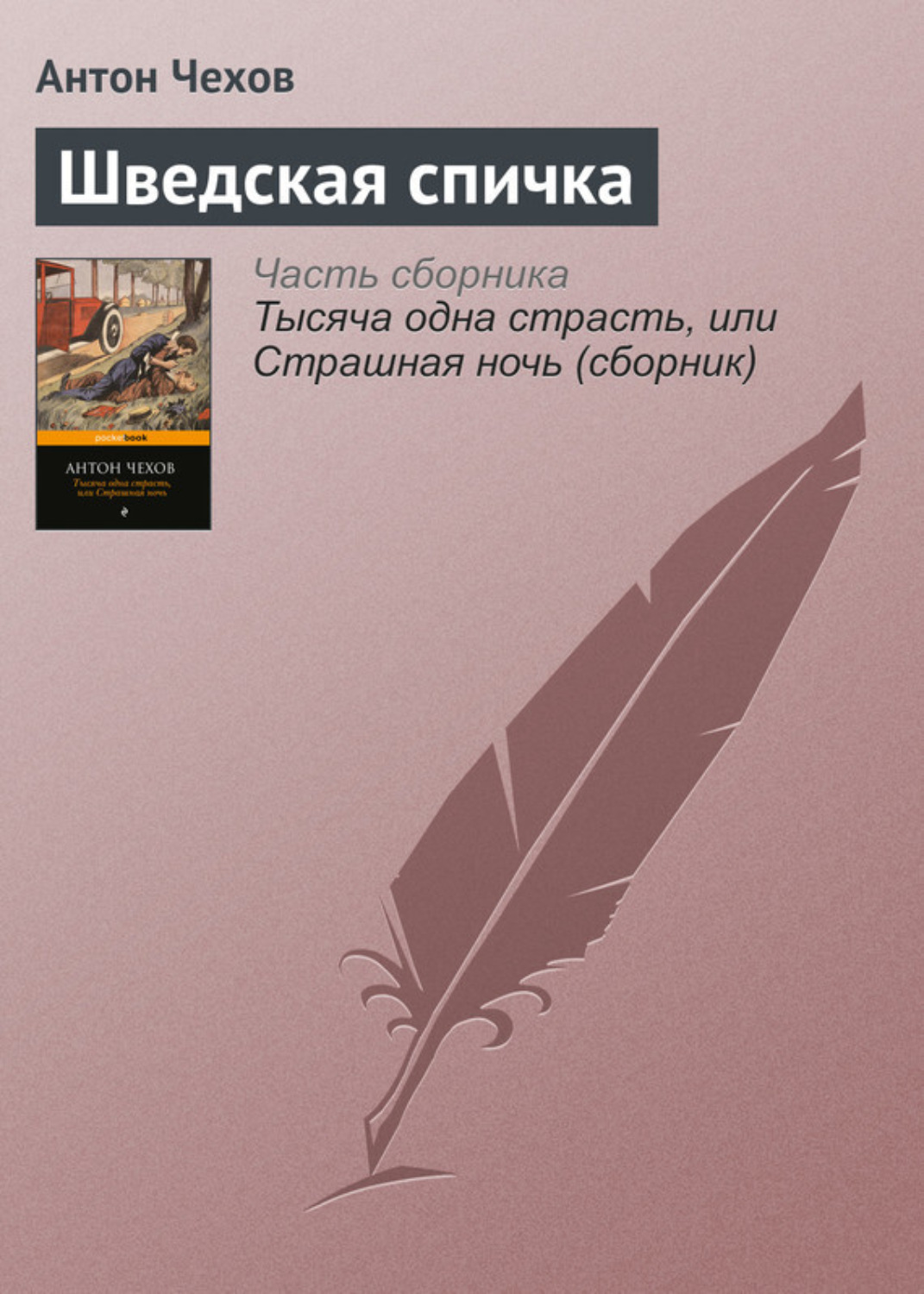 Обложка книги «Шведская спичка»