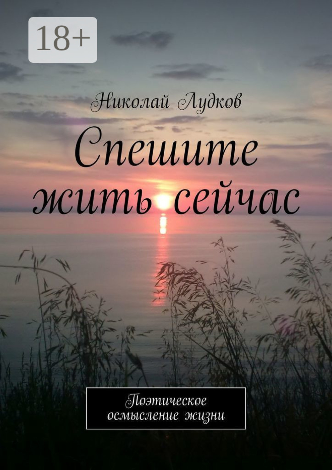 Обложка книги «Спешите жить сейчас. Поэтическое осмысление жизни»