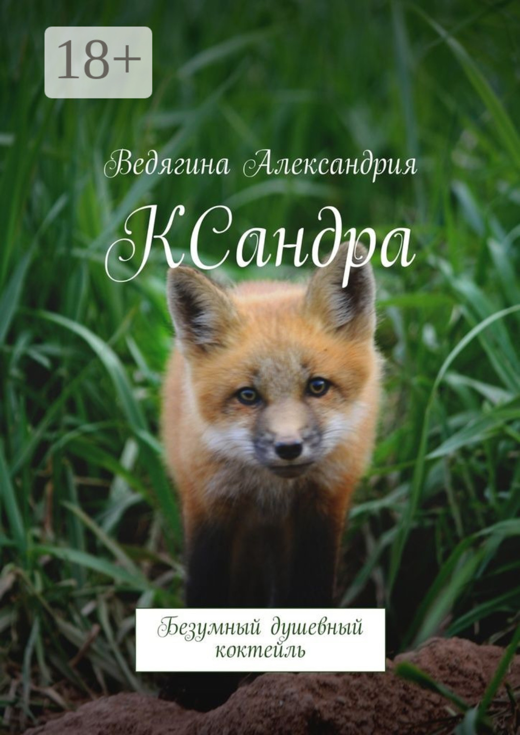 Обложка книги «КСандра. Безумный душевный коктейль»