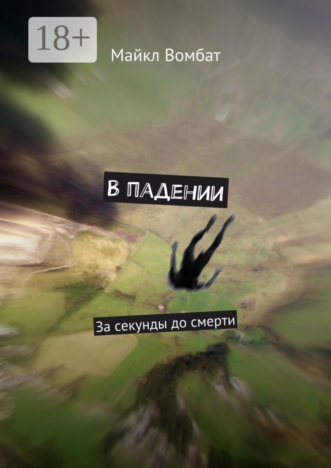 Обложка книги «В падении. За секунды до смерти»