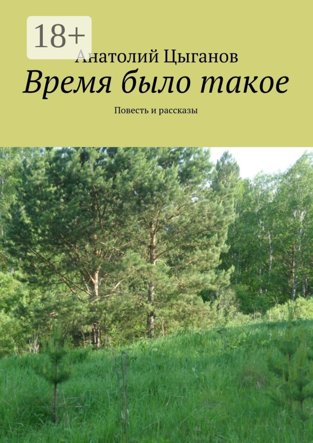 Обложка книги «Время было такое. Повесть и рассказы»
