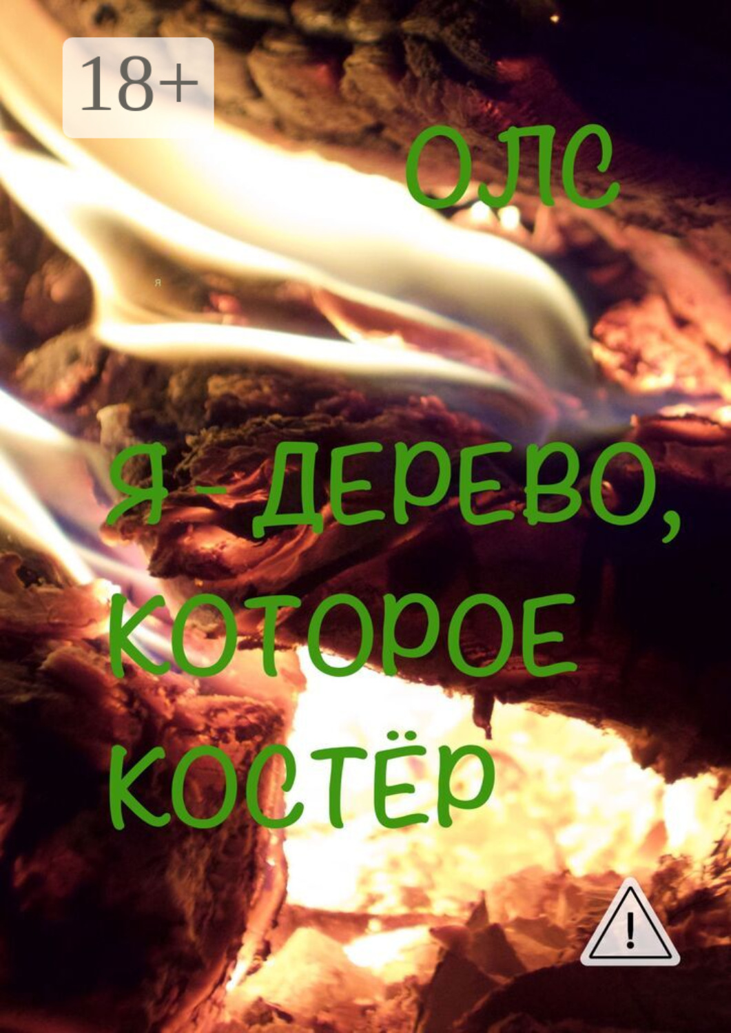 Обложка книги «Я – дерево, которое костёр»