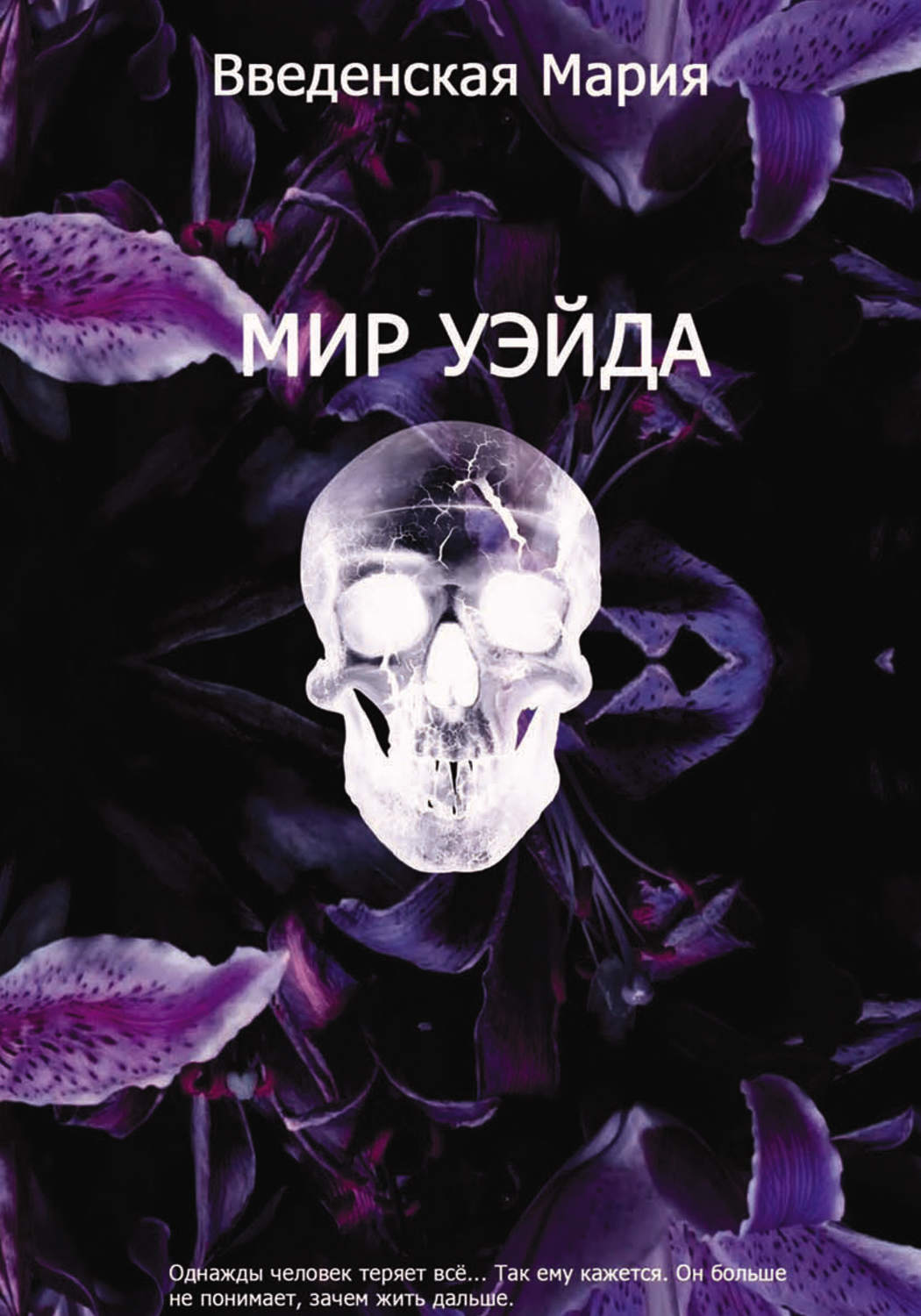 Обложка книги «Мир Уэйда»