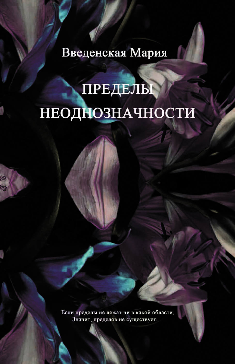 Обложка книги «Пределы неоднозначности»