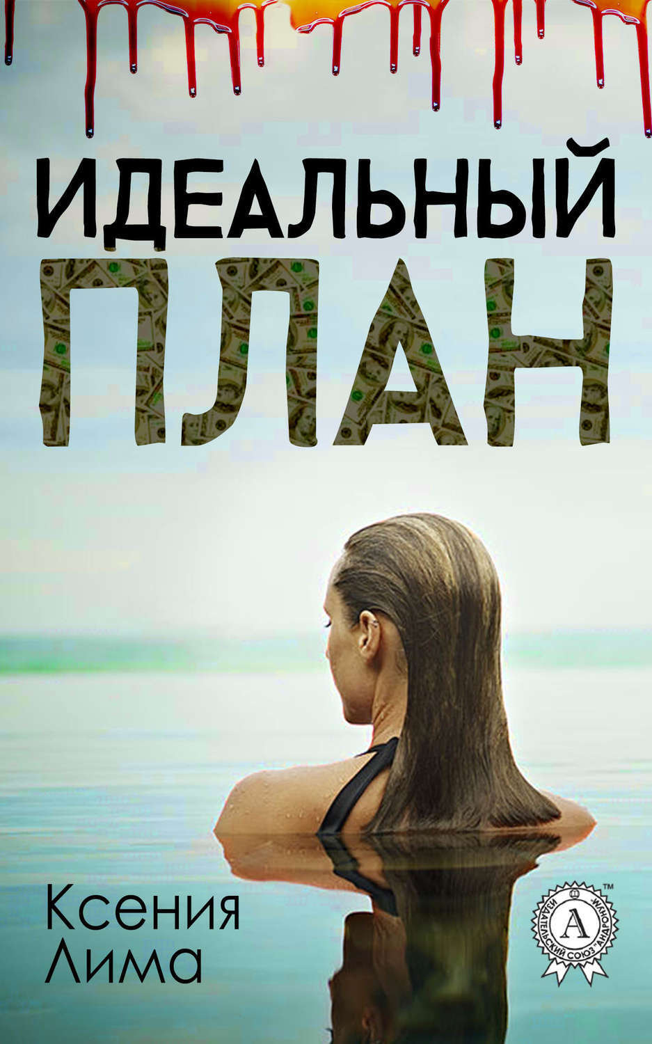 Обложка книги «Идеальный план»