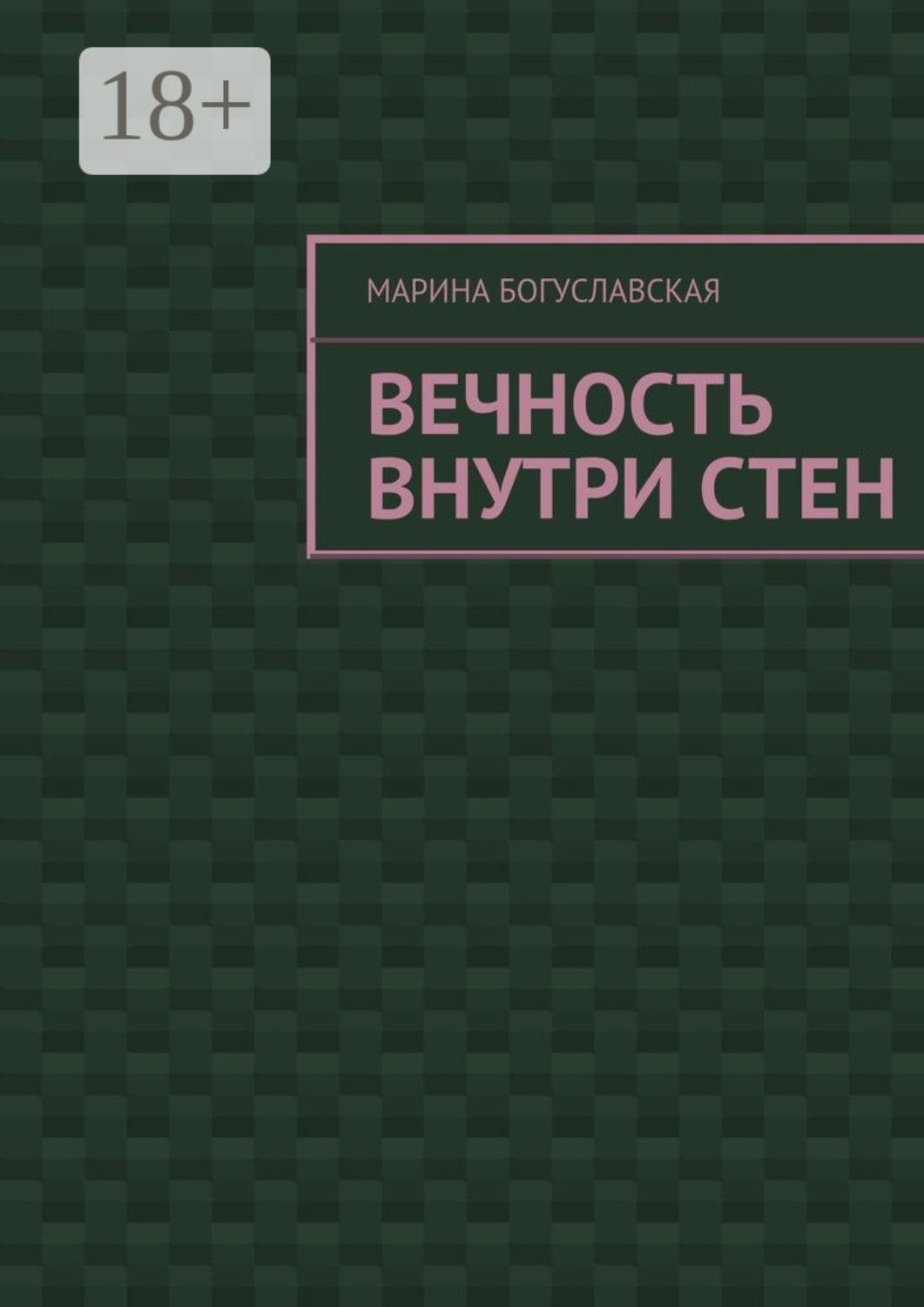 Обложка книги «Вечность внутри стен»