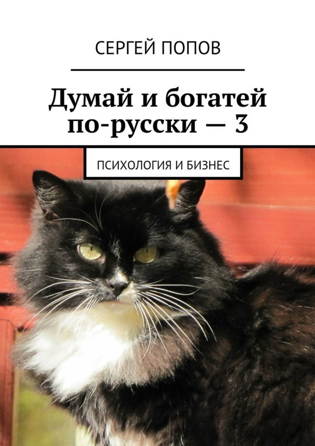Обложка книги «Думай и богатей по-русски – 3. Психология и бизнес»