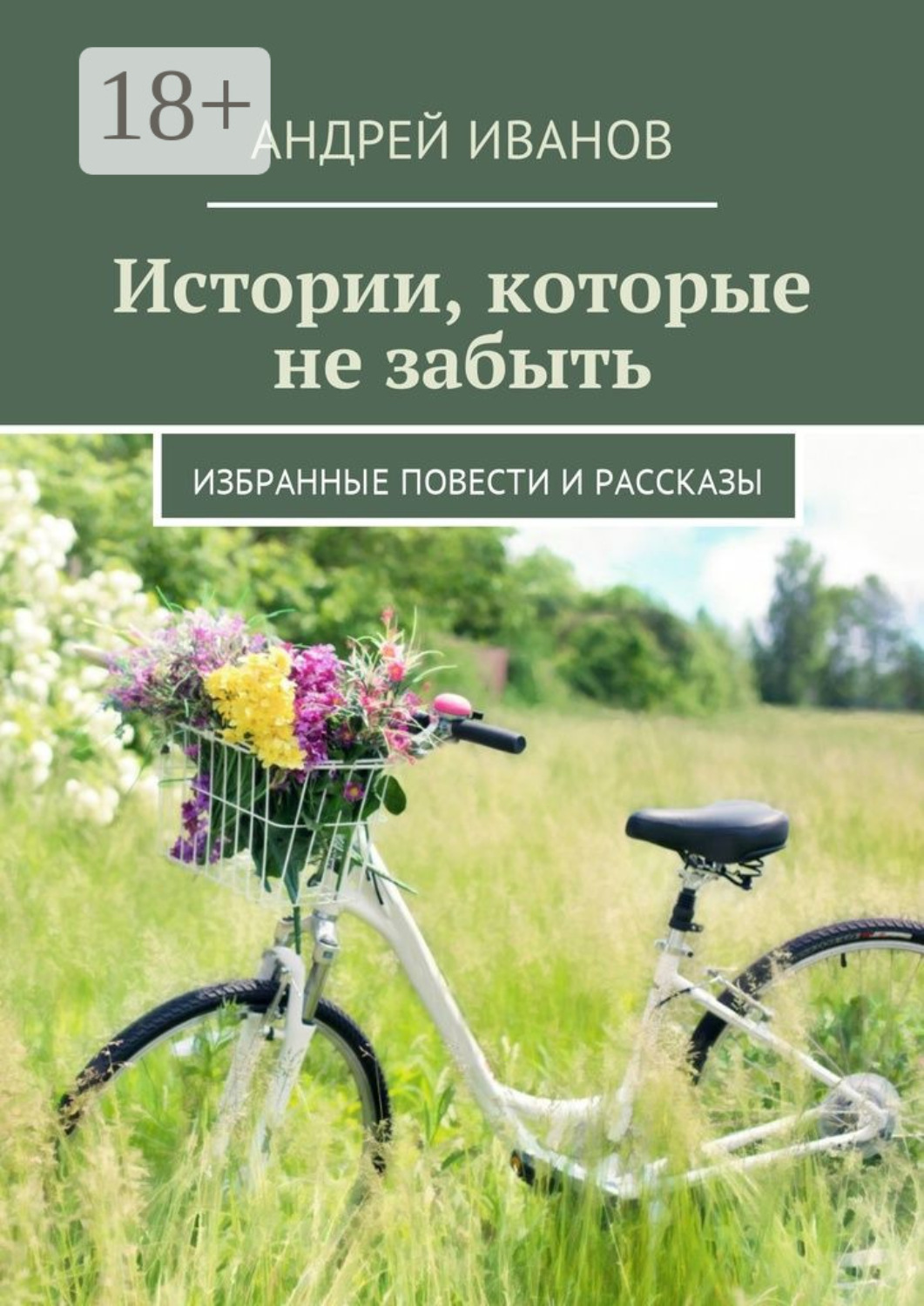 Обложка книги «Истории, которые не забыть. Избранные повести и рассказы»