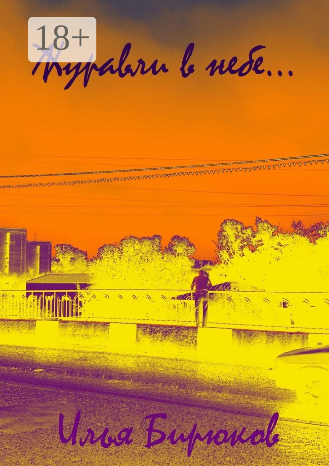 Обложка книги «Журавли в небе…»