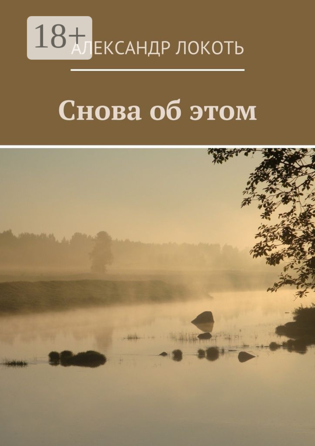 Обложка книги «Снова об этом»